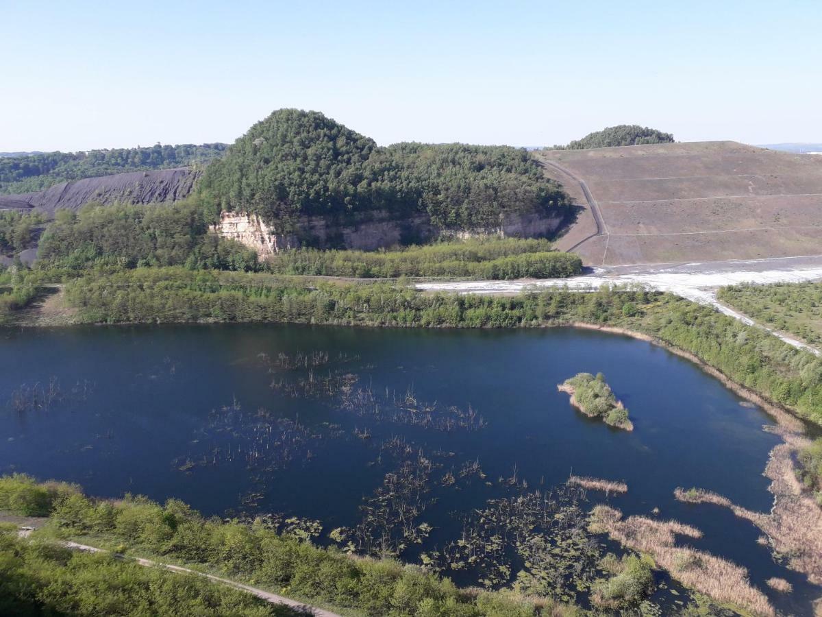 Un Spa au Canyon Freyming-Merlebach Bagian luar foto